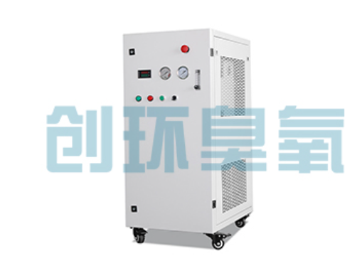 雅安石斑鱼养殖水质调控完整指南:臭氧发生器配置与操作步骤