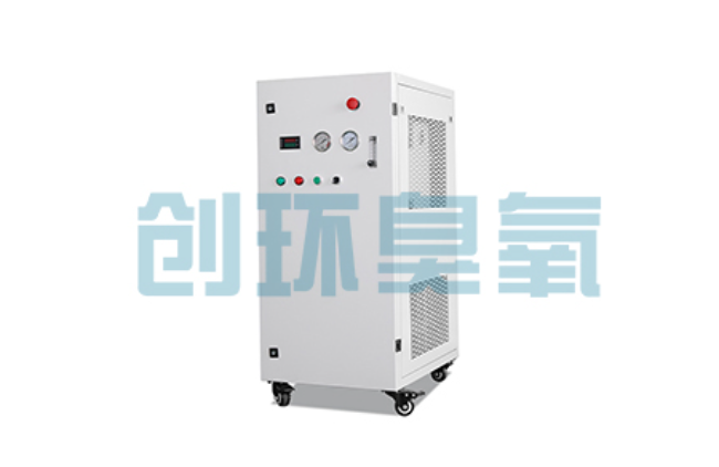 雅安比传统换水更高效?臭氧发生器在石斑鱼养殖中的水质净化原理解析