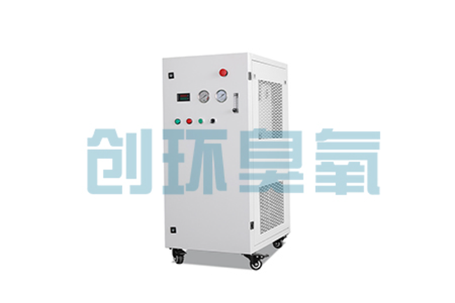 雅安比传统换水更高效?臭氧发生器在石斑鱼养殖中的水质净化原理解析